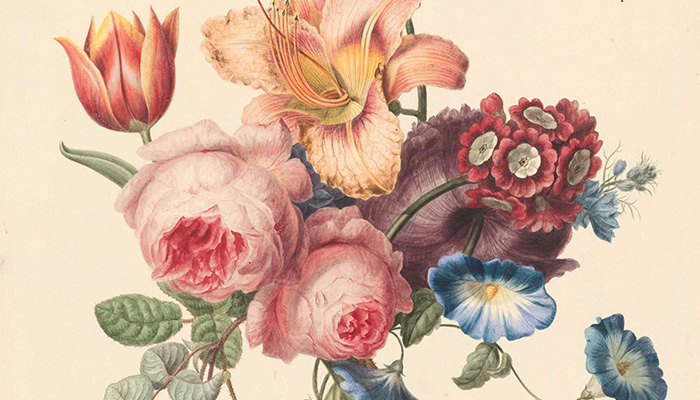 Illustration Portfolio de Dadoune Studio